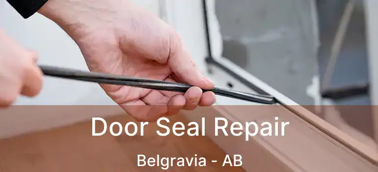  Door Seal Repair Belgravia - AB