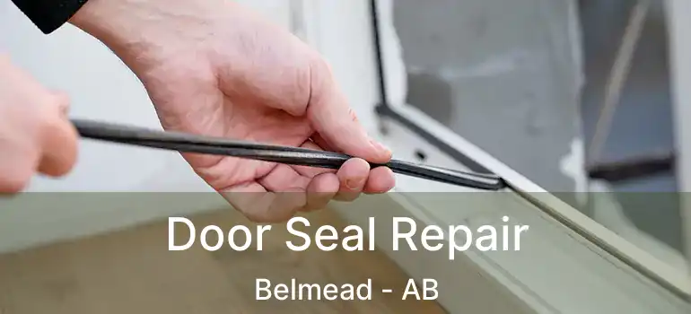  Door Seal Repair Belmead - AB