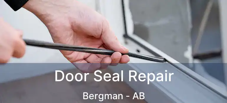  Door Seal Repair Bergman - AB