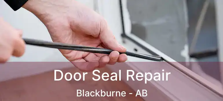  Door Seal Repair Blackburne - AB