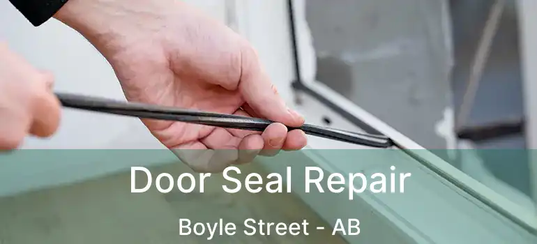  Door Seal Repair Boyle Street - AB