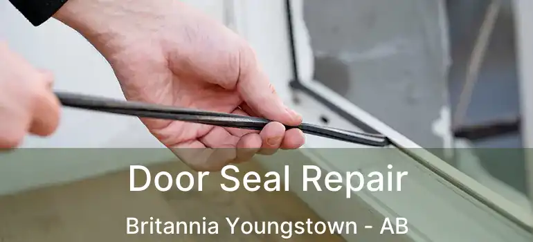  Door Seal Repair Britannia Youngstown - AB
