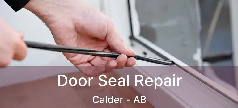  Door Seal Repair Calder - AB