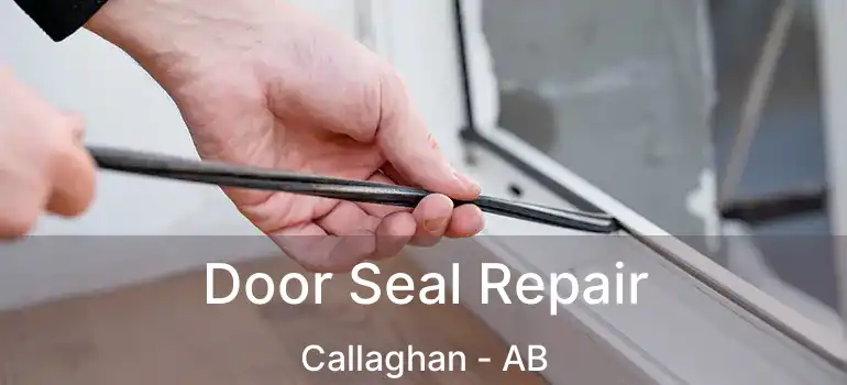  Door Seal Repair Callaghan - AB
