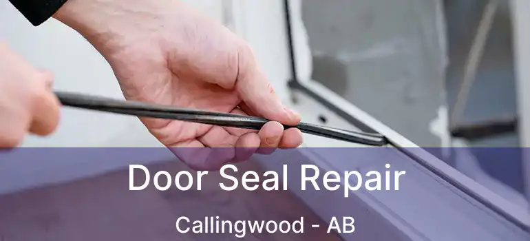  Door Seal Repair Callingwood - AB