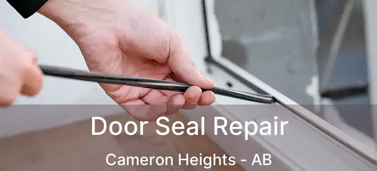  Door Seal Repair Cameron Heights - AB