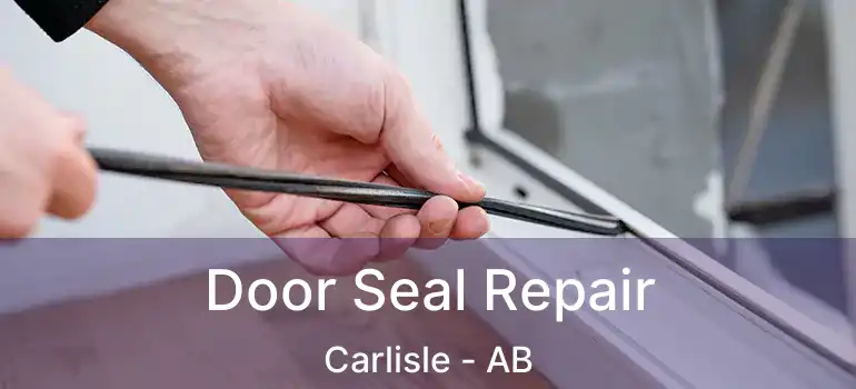  Door Seal Repair Carlisle - AB