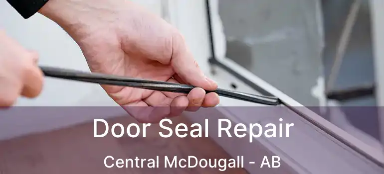  Door Seal Repair Central McDougall - AB