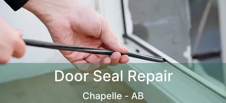  Door Seal Repair Chapelle - AB