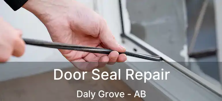  Door Seal Repair Daly Grove - AB