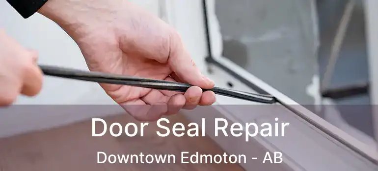  Door Seal Repair Downtown Edmoton - AB