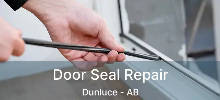  Door Seal Repair Dunluce - AB