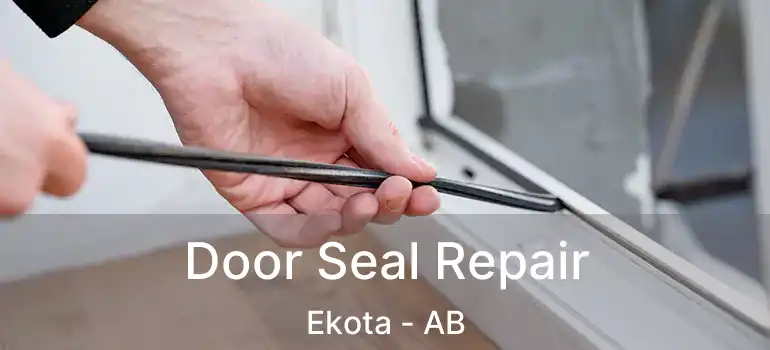  Door Seal Repair Ekota - AB