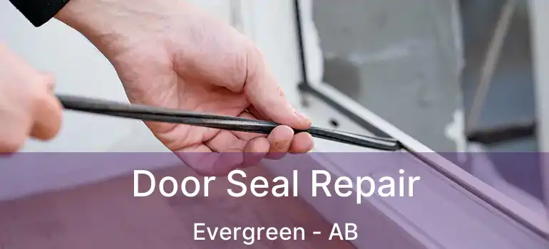  Door Seal Repair Evergreen - AB
