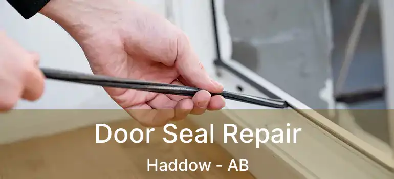  Door Seal Repair Haddow - AB