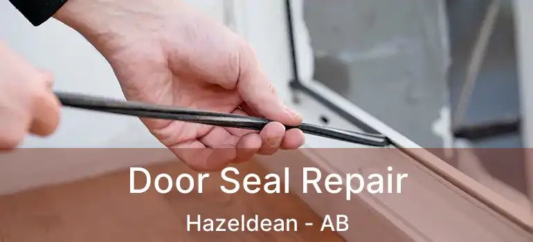  Door Seal Repair Hazeldean - AB