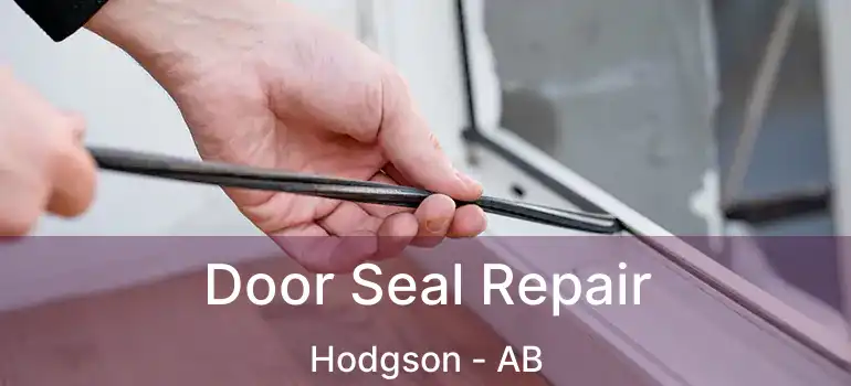  Door Seal Repair Hodgson - AB