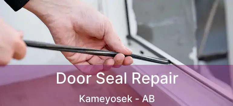  Door Seal Repair Kameyosek - AB