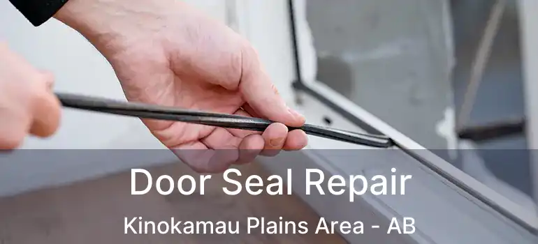  Door Seal Repair Kinokamau Plains Area - AB