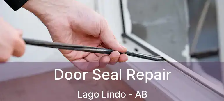  Door Seal Repair Lago Lindo - AB