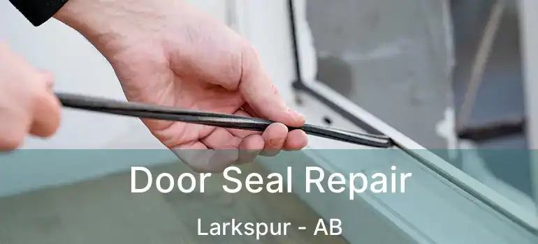  Door Seal Repair Larkspur - AB