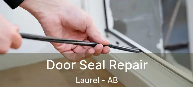 Door Seal Repair Laurel - AB