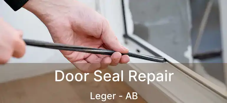 Door Seal Repair Leger - AB