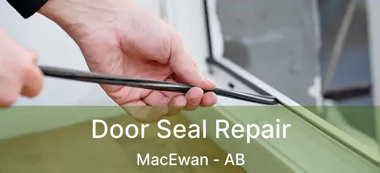  Door Seal Repair MacEwan - AB