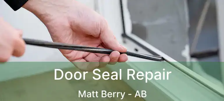  Door Seal Repair Matt Berry - AB