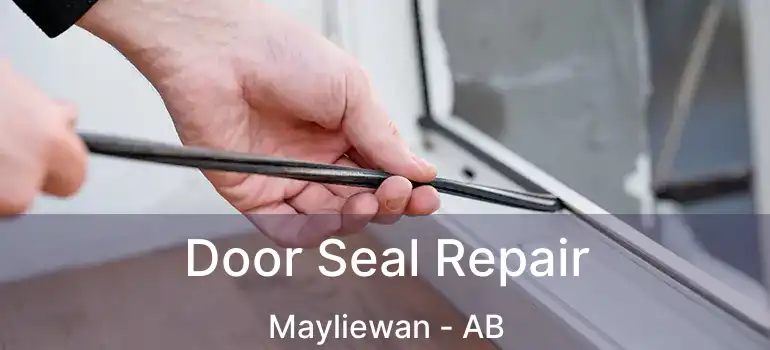  Door Seal Repair Mayliewan - AB