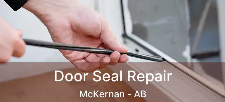 Door Seal Repair McKernan - AB