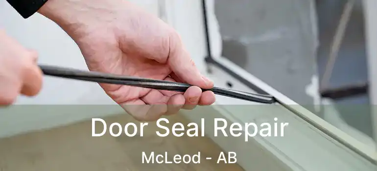  Door Seal Repair McLeod - AB