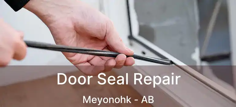  Door Seal Repair Meyonohk - AB