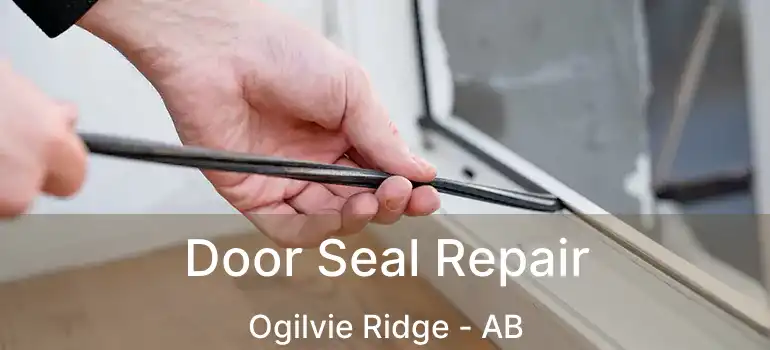  Door Seal Repair Ogilvie Ridge - AB