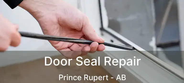  Door Seal Repair Prince Rupert - AB