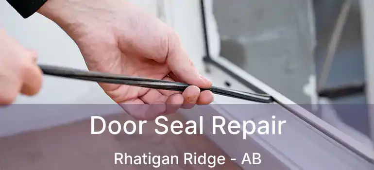  Door Seal Repair Rhatigan Ridge - AB