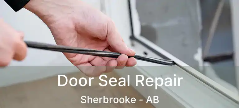  Door Seal Repair Sherbrooke - AB