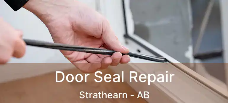  Door Seal Repair Strathearn - AB