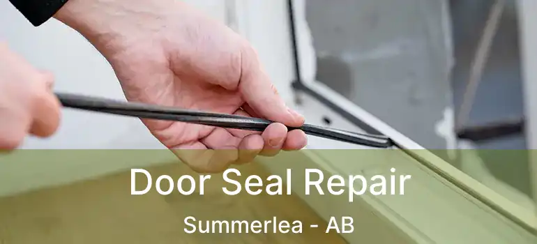  Door Seal Repair Summerlea - AB
