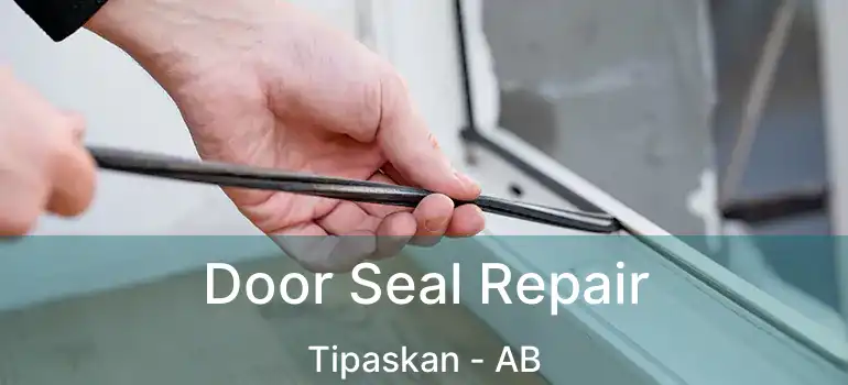  Door Seal Repair Tipaskan - AB