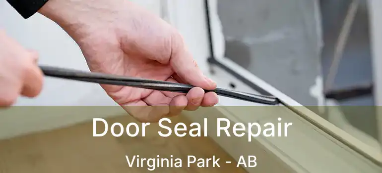  Door Seal Repair Virginia Park - AB