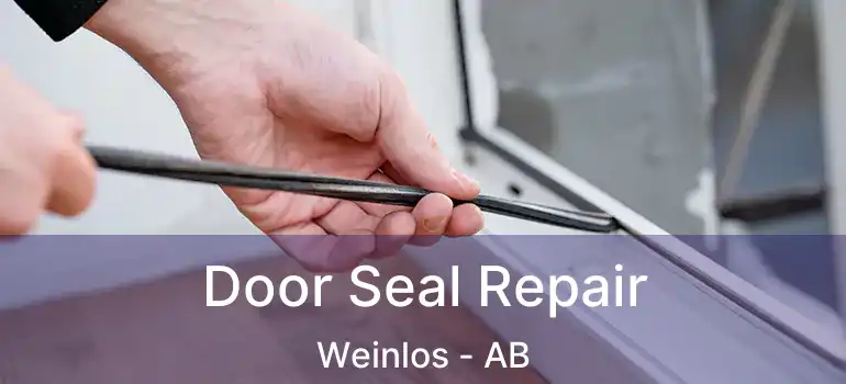 Door Seal Repair Weinlos - AB