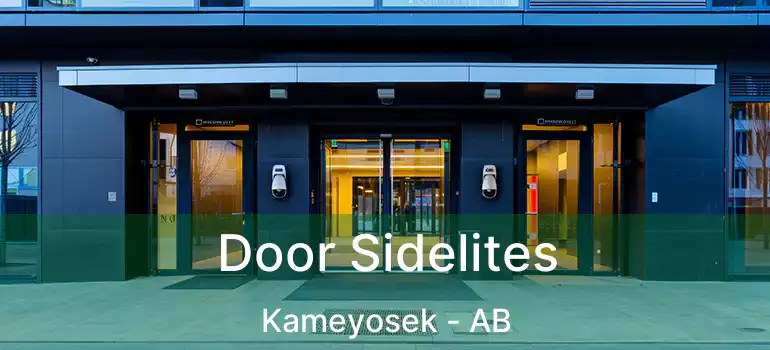  Door Sidelites Kameyosek - AB