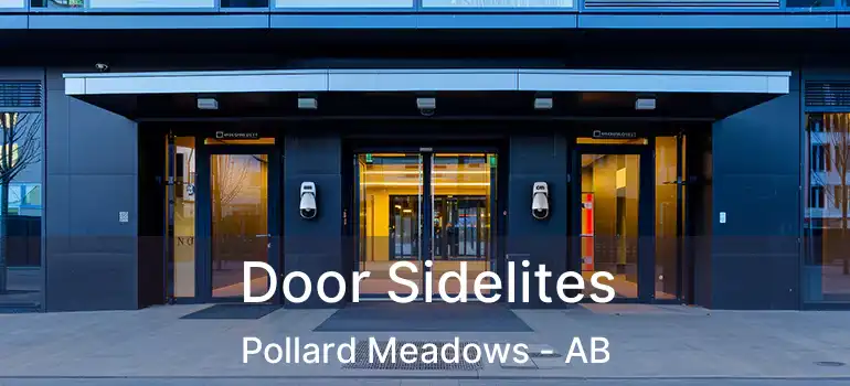  Door Sidelites Pollard Meadows - AB
