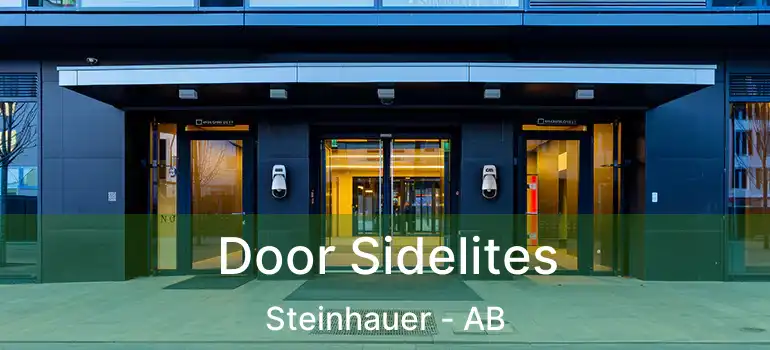  Door Sidelites Steinhauer - AB