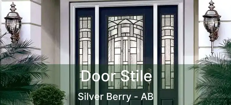  Door Stile Silver Berry - AB