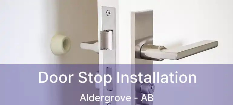  Door Stop Installation Aldergrove - AB