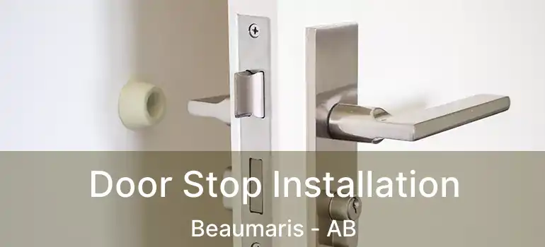  Door Stop Installation Beaumaris - AB