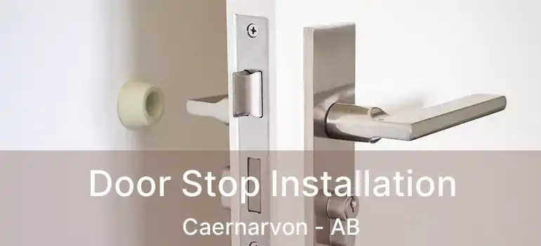  Door Stop Installation Caernarvon - AB