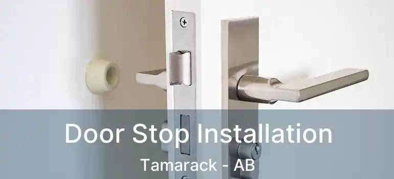  Door Stop Installation Tamarack - AB